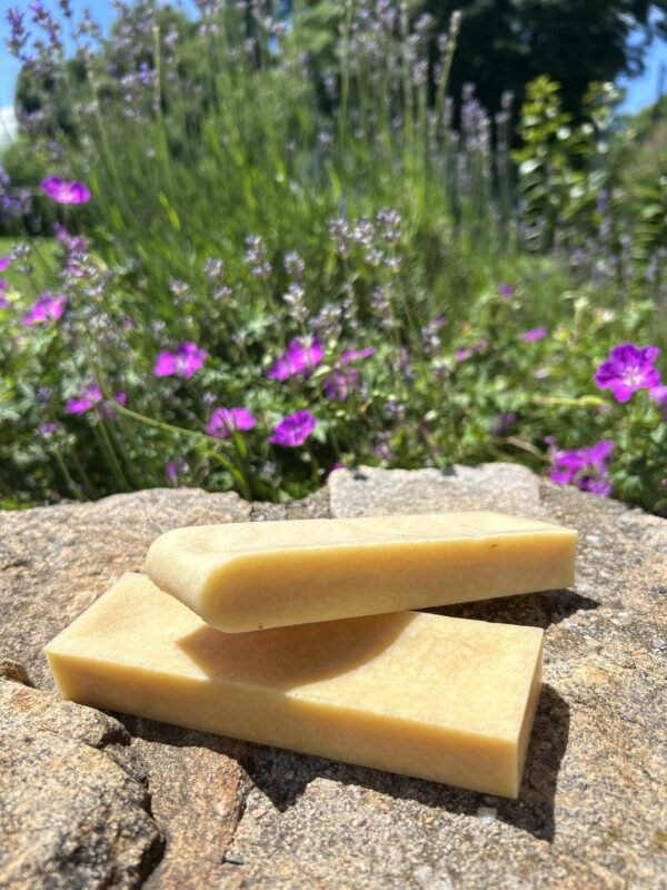 Barre de fromage Nature