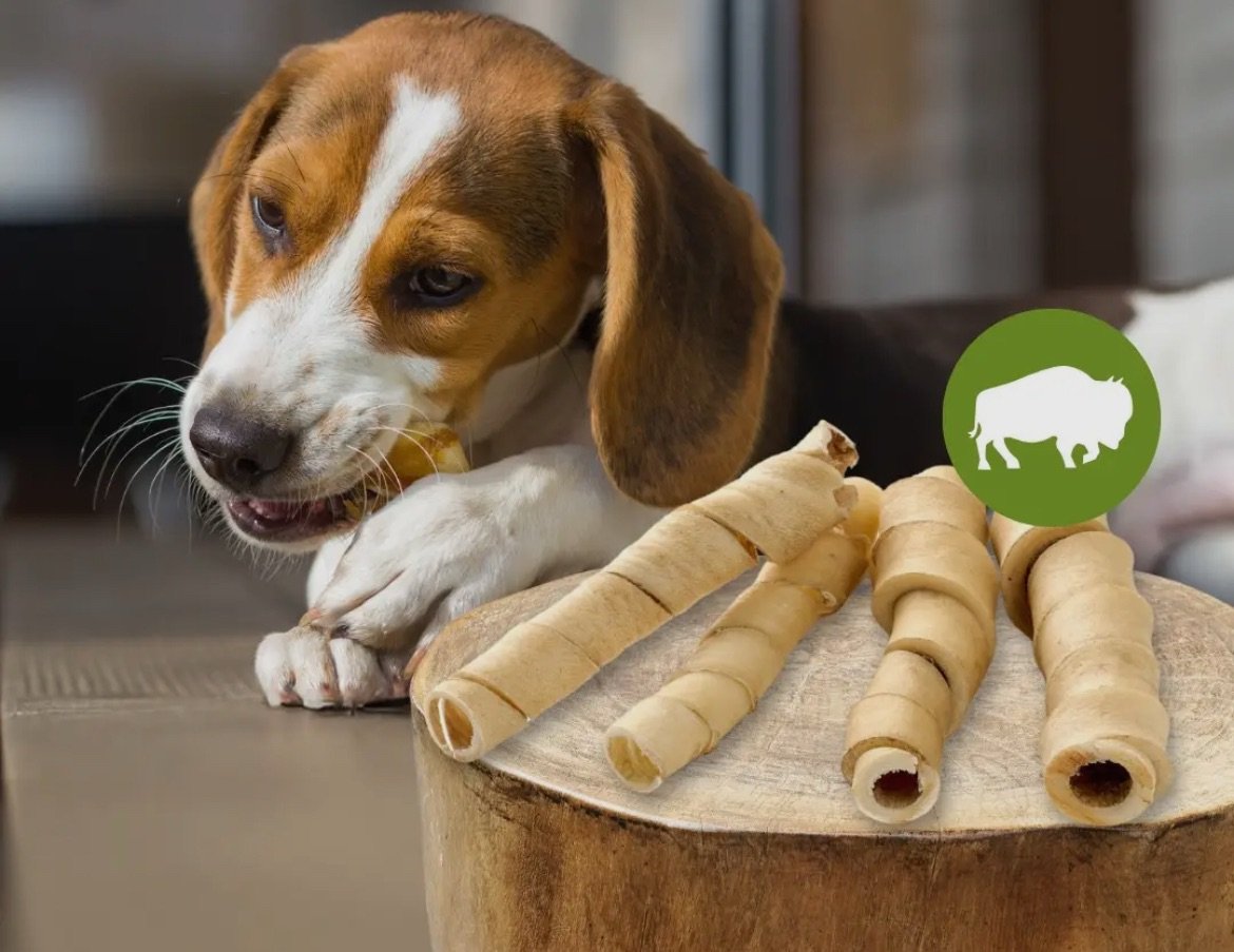 Peau de buffle torsadée – Image 2