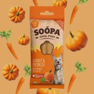 Sticks Carotte et Citrouille