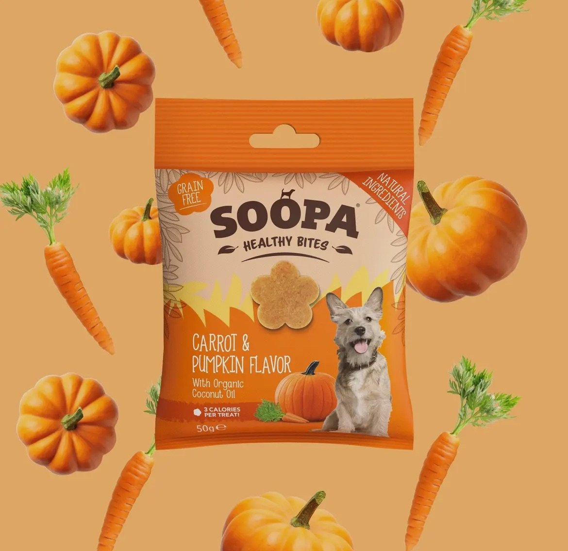 Biscuits Carotte et Citrouille