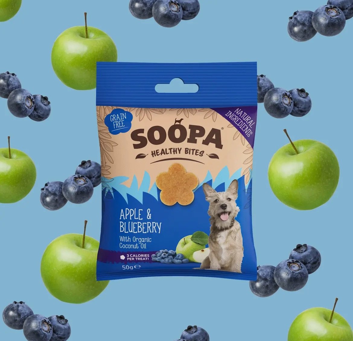 Biscuits Pomme et Myrtille